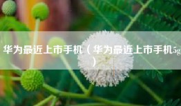 华为最近上市手机（华为最近上市手机5g）