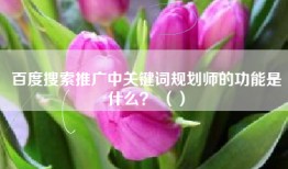 百度搜索推广中关键词规划师的功能是什么？ （）