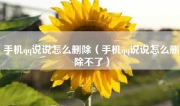 手机qq说说怎么删除（手机qq说说怎么删除不了）