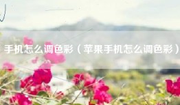 手机怎么调色彩（苹果手机怎么调色彩）