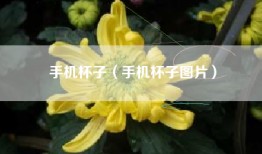 手机杯子（手机杯子图片）