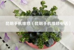 昆明手机维修（昆明手机维修电话）