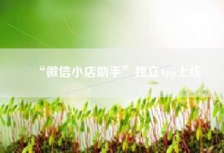 “微信小店助手”独立App上线