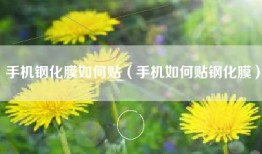 手机钢化膜如何贴（手机如何贴钢化膜）