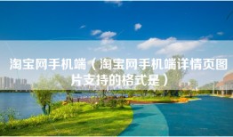 淘宝网手机端（淘宝网手机端详情页图片支持的格式是）