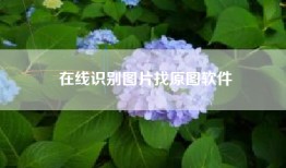 在线识别图片找原图软件