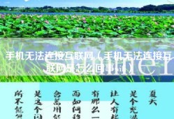 手机无法连接互联网（手机无法连接互联网是怎么回事wifi）