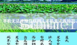 手机无法连接互联网（手机无法连接互联网是怎么回事wifi）