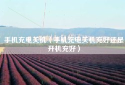 手机充电关机（手机充电关机充好还是开机充好）