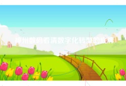 神州数码看清数字化转型的底牌