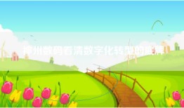 神州数码看清数字化转型的底牌