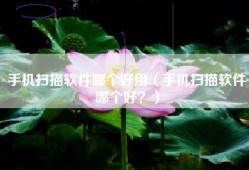 手机扫描软件哪个好用（手机扫描软件哪个好？）