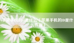 苹果手机的id是什么（苹果手机的ID是什么作用）