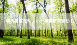 手机屏幕晃动（小米手机屏幕晃动）