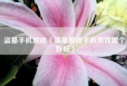盗墓手机游戏（盗墓游戏手机游戏哪个好玩）