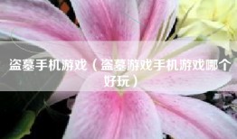 盗墓手机游戏（盗墓游戏手机游戏哪个好玩）