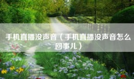 手机直播没声音（手机直播没声音怎么回事儿）