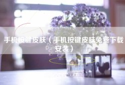 手机按键皮肤（手机按键皮肤免费下载安装）
