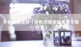 手机按键皮肤（手机按键皮肤免费下载安装）