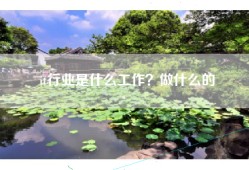 it行业是什么工作？做什么的