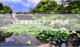 it行业是什么工作？做什么的