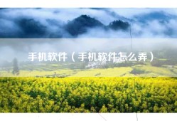手机软件（手机软件怎么弄）