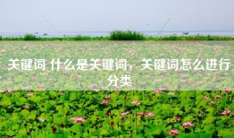 关键词 什么是关键词，关键词怎么进行分类