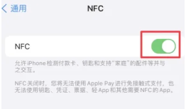 苹果iPhone 15有NFC功能吗？iPhone 15 NFC功能开启方法