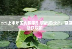 2020上半年国内搜索引擎数据出炉，百度斩获双第一