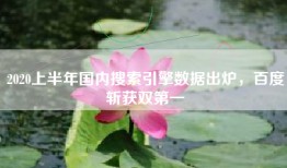 2020上半年国内搜索引擎数据出炉，百度斩获双第一