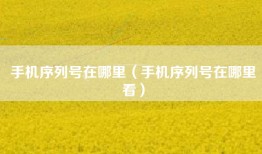 手机序列号在哪里（手机序列号在哪里看）