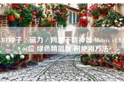 BT种子／磁力／网盘下载神器 Motrix v1.8.19 64位 绿色精简版 附使用方法