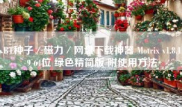 BT种子／磁力／网盘下载神器 Motrix v1.8.19 64位 绿色精简版 附使用方法