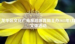 龙华区文化广电旅游体育局主办2023年8月文体活动