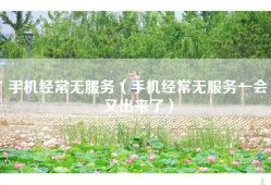 手机经常无服务（手机经常无服务一会又出来了）