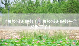 手机经常无服务（手机经常无服务一会又出来了）