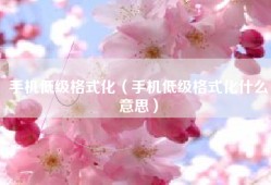 手机低级格式化（手机低级格式化什么意思）