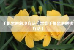 手机黑屏解决方法（智能手机黑屏解决方法）