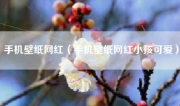 手机壁纸网红（手机壁纸网红小孩可爱）