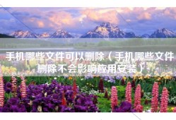 手机哪些文件可以删除（手机哪些文件删除不会影响应用安装）