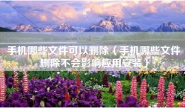 手机哪些文件可以删除（手机哪些文件删除不会影响应用安装）