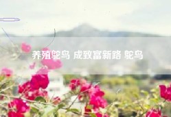 养殖鸵鸟 成致富新路 鸵鸟