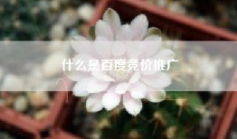 什么是百度竞价推广
