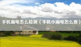 手机漏电怎么检测（手机小漏电怎么查）