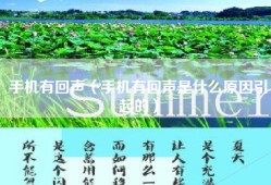 手机有回声（手机有回声是什么原因引起的）
