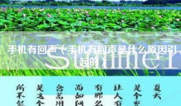 手机有回声（手机有回声是什么原因引起的）
