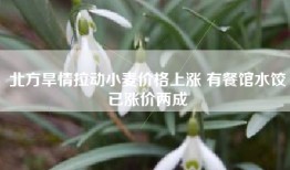 北方旱情拉动小麦价格上涨 有餐馆水饺已涨价两成