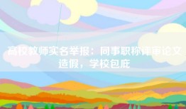 高校教师实名举报：同事职称评审论文造假，学校包庇
