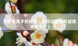 怎样设置手机键盘（怎样设置手机键盘字体大小）