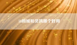 58同城和灵鸽哪个好用